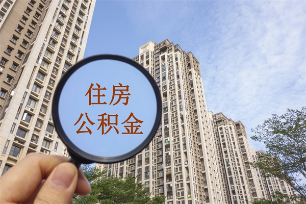 儋州辞职了补充公积金能取不（辞职后补充公积金如何提取）